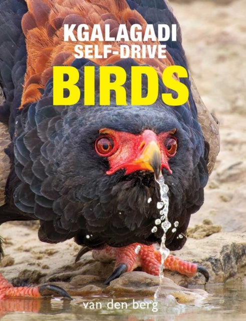 Binding: Paperback
Description: Explore the fascinating world of birds in the Kgalagadi Transfrontier Park with Kgalagadi Self - Drive Birds. This book is a comprehensive guide dedicated to the remarkable adaptation of bird species in one of the most extreme environments on Earth.