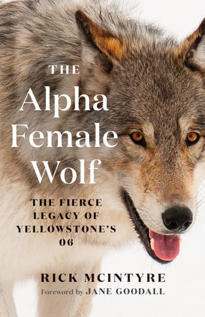 Binding: Paperback
Description: Book Four in the Award - Winning Alpha Wolves of Yellowstone series Following five generations of female wolves including the famous 06 this gripping family saga set in Yellowstone National Park reveals the pivotal role that female wolves play in pack life.