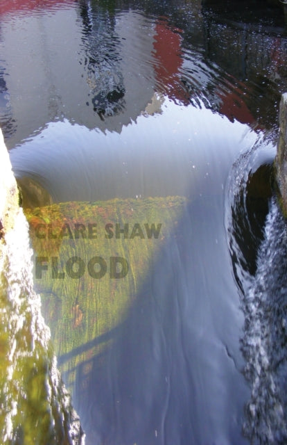 Binding: Paperback
Description: The territory of Clare Shaw's third collection isn't one she chose herself: the flooded valley and the ruined home - Yorkshire in 2015. Flooding is also a powerful metaphor for wider experiences of loss destruction and recovery.