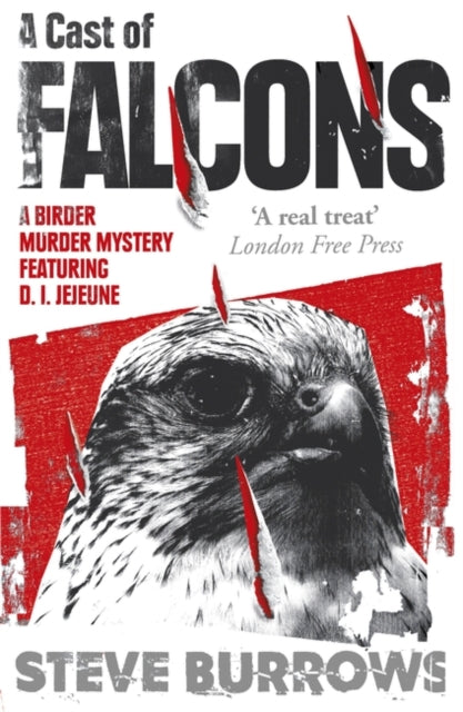 A Cast Of Falcons A Birder Murder Mystery
