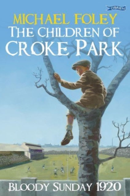 Binding: Paperback
Description: Through the lives of three children who died on 21 November 1920, relive the story of Bloody Sunday when a gaelic football match in Croke Park was the scene of slaughter by British forces. Gripping historical fiction.