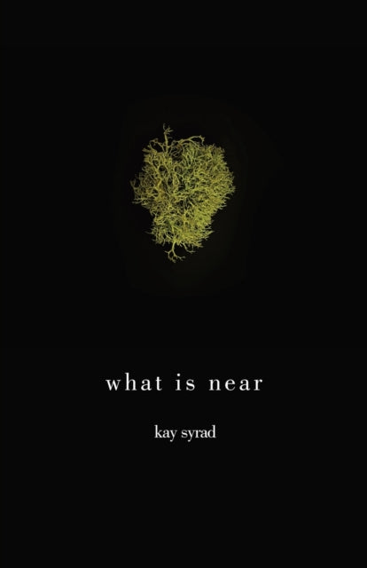 Binding: Paperback
Description: P oems like delicate essays in the sense of attempts - circling being - with tentative and tender . poems like seed heads fragility and delicacy balanced a symmetry .