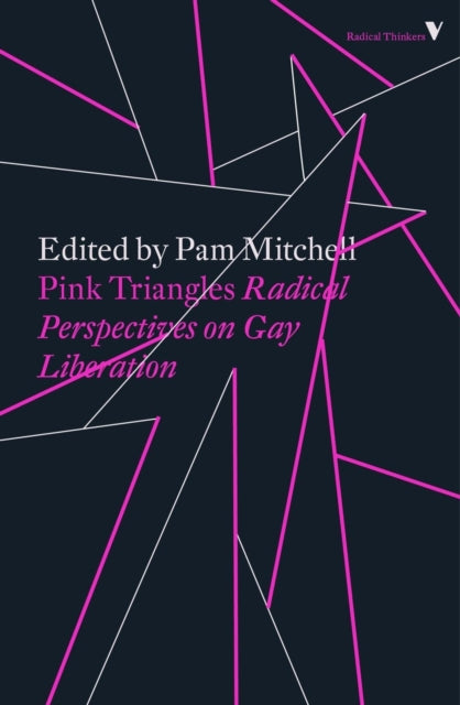 Mitchell Pam - Pink Triangles Radical Perspectives On Gay Liberation - Paperback