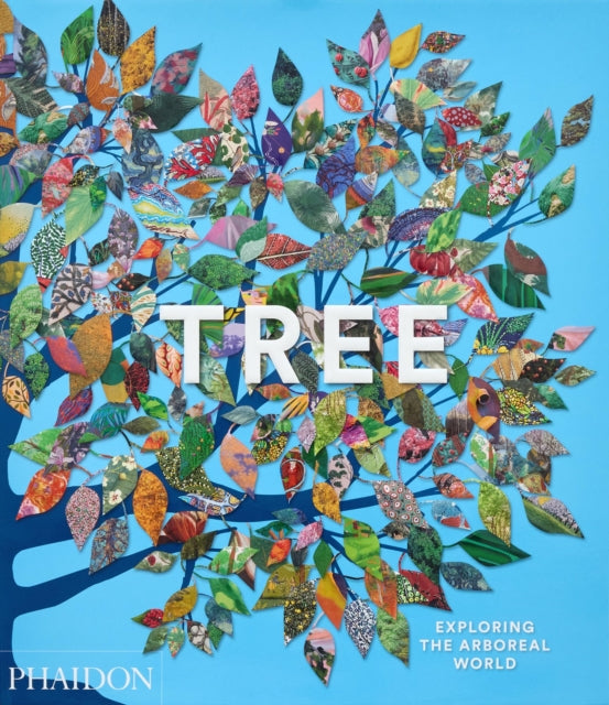 Tree Exploring The Arboreal World
