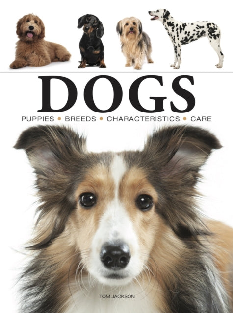 Binding: Paperback
Description: The first species to be domesticated dogs have been selectively bred over thousands of years. Today they re man's best friend but while many are pets many too are working animals: for the police for the blind as guard dogs as sheepdogs pulling sleds and as therapy animals.