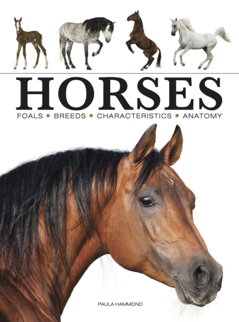Binding: Paperback
Description: From the Azteca to the Appaloosa Choctaw to the Palomina Brumbys in Australia to the Mongolian from rare breeds such as the Polish Konik to the semi - feral Pyrenean Pottok Horses celebrates a wide variety of breeds from all around the world.