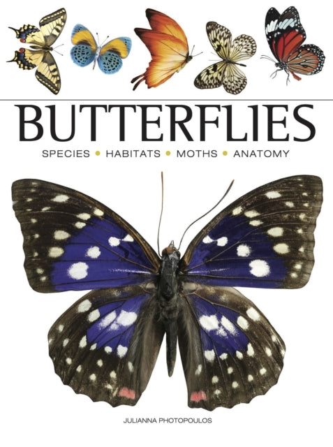 Binding: Paperback
Description: Butterflies and moths hold an enduring fascination for their unusual life cycle as they change from one creature into another.