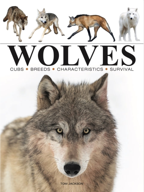 Binding: Paperback
Description: With full captions explaining how the species and its subspecies hunts and feeds rears its young and migrates and whether it is endangered and protected Wolves is a brilliant examination in 150 outstanding colour photographs of this fascinating animal.