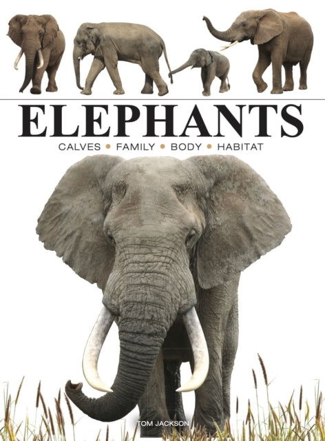 Binding: Paperback
Description: Other than the size of their ears (African elephants have much larger ears) how else do African and Asian elephants differ? Well both male and female African elephants rather than just some male Asian elephants have long tusks.