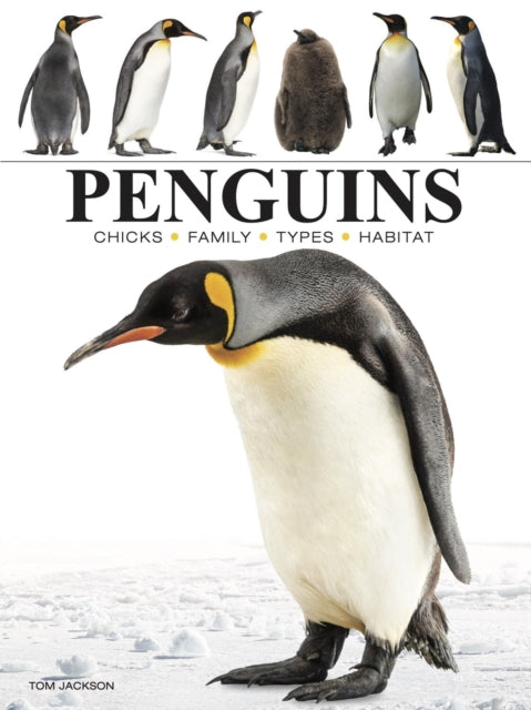 Binding: Paperback
Description: Did you know that Penguins have wings and feathers but they can t fly? Instead they have evolved into the most efficient swimmers and divers of all birds.