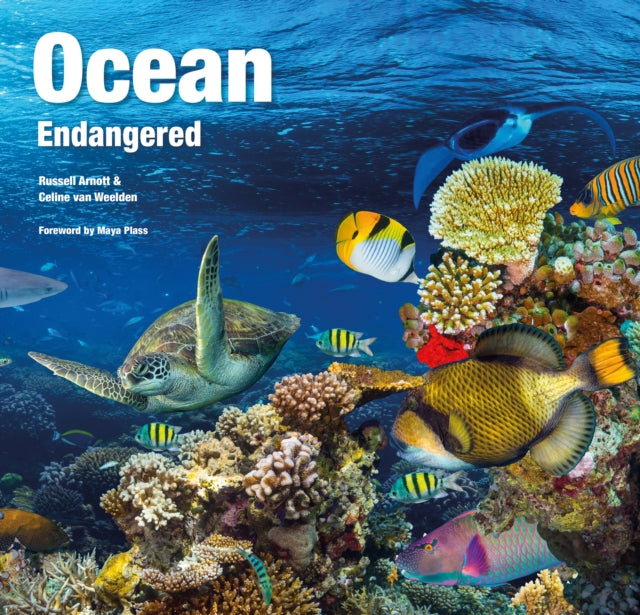 Binding: Hardcover
Description: All our seas feed into one true ocean interconnected and interdependent. Producing over half of the world's oxygen our planet's ocean is a natural and vital wonder.
