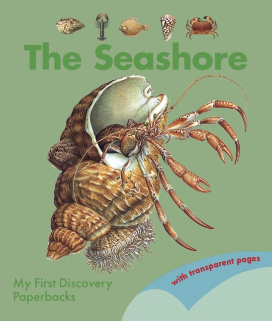 Binding: Paperback
Description: The tide is out let's explore! Look for colourful shells dig in the sand and peek under stones. See where crabs and shrimps hide and find starfish oysters and mussels. Discover all the fish that live on the sea bed; why they are flat and how they hide from predators.