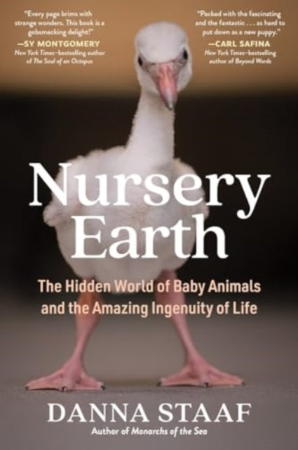 Staaf Danna - Nursery Earth The Hidden World Of Baby Animals And The Amazing Ingenuity Of Life - Paperback