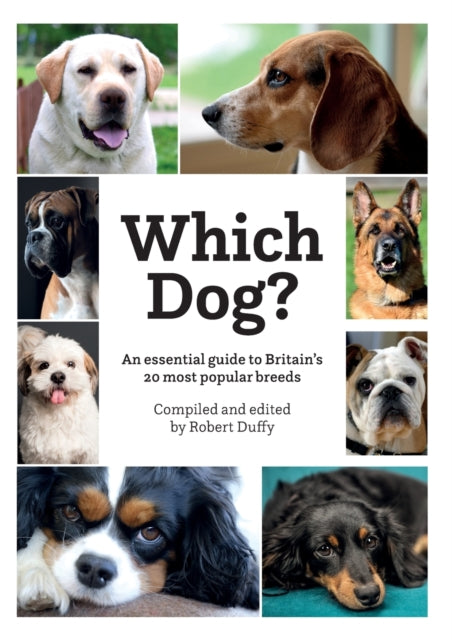 Binding: Paperback
Description: Select Guide Rating
Title: Which Dog
Brand: Bx Plans Ltd
Barcode: 9781913296254
Pages: 96 Pages
Publication Date: 9/2/2020
Category: Dogs As Pets