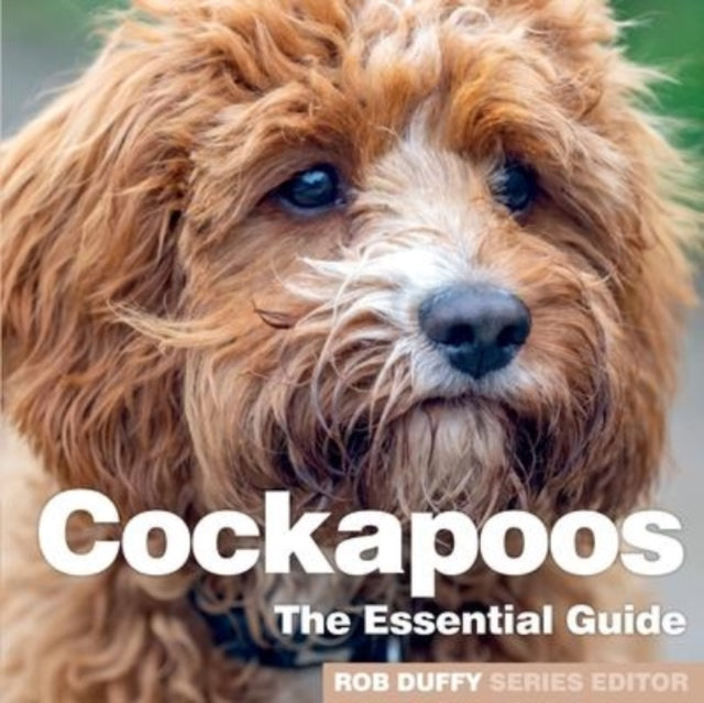 Binding: Paperback
Description: Select Guide Rating
Title: Cockerpoos
Author(s): Duffy Robert
Publisher: Bx Plans Ltd
Barcode: 9781913296278
Pages: 84 Pages
Publication Date: 2/3/2022
Category: Dog Obedience & Training