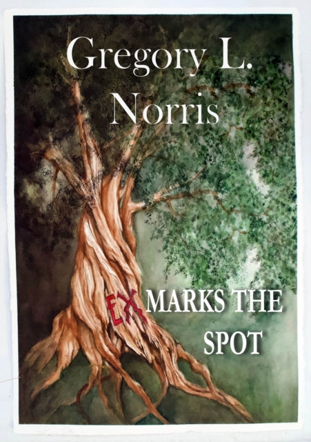 Binding: Paperback
Description: " Norris explores grief regret and obsession with a time - travel twist in his romantic debut Norris does a good job exploring the fraught hormonal confusion of queer adolescence.