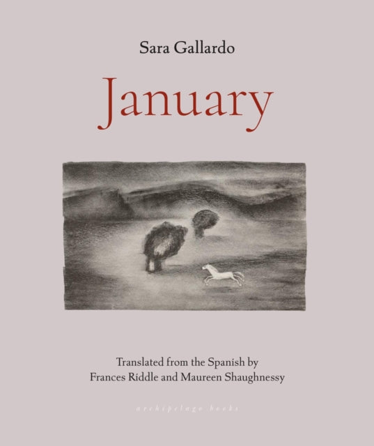 Binding: Paperback
Title: January
Author(s): Gallardo Sara
Publisher: Archipelago Books
Barcode: 9781953861641
Pages: 114 Pages
Publication Date: 10/24/2023
Category: Fiction In Translation