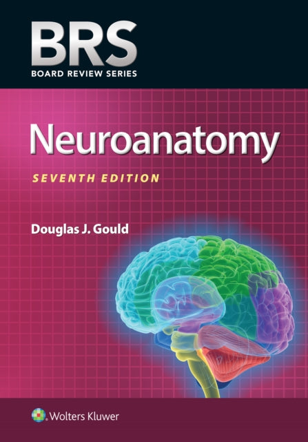 Gould Dr. Douglas J. Phd - Brs Neuroanatomy - Paperback