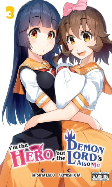 Ota Akiyoshi - I'm The Hero But The Demon Lord's Also Me Vol. 3 - Paperback