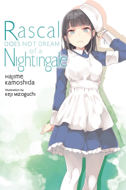 Rascal Does Not Dream Vol. 11 (Light Novel)
