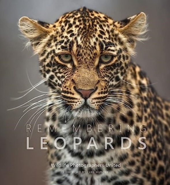 Binding: Hardcover
Description: Select Guide Rating
Title: Remembering Leopards
Brand: Remembering Wildlife
Barcode: 9781999643379
Pages: 180 Pages, 100
Publication Date: 10/11/2023
Series: Remembering Wildlife
Category: Wildlife: Mammals
