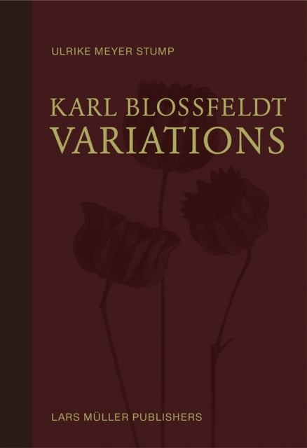 Binding: Hardcover
Description: On one of the most spectacular contributions to photography in the twentieth century. The genesis and reception of Karl Blossfeldt's photographic images of plants is comprehensively investigated for the first time with numerous previously unpublished illustrations.
