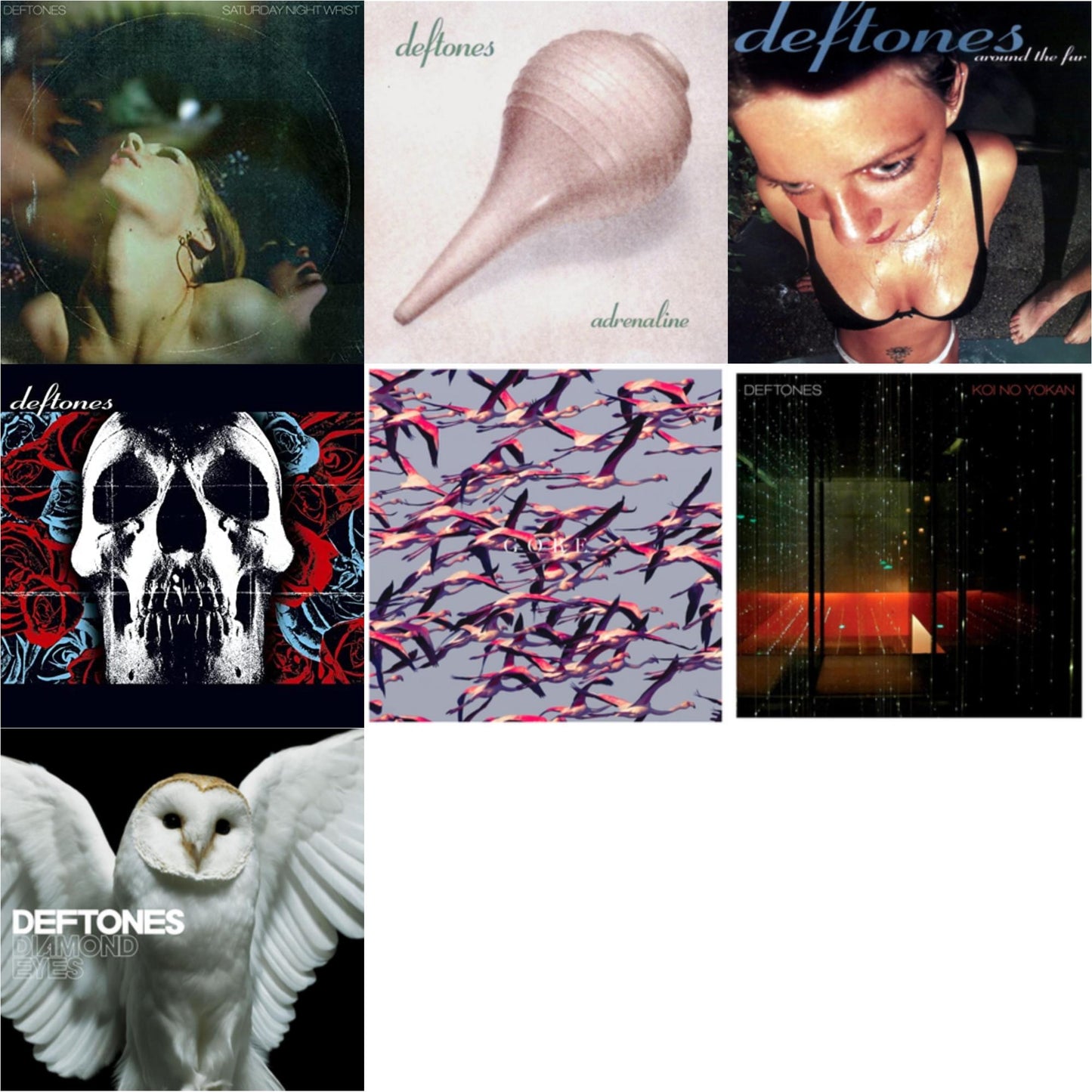 Saturday Night Wrist & Adrenaline & Around The Fur & Deftones & Gore & Koi No Yokan & Diamond Eyes
