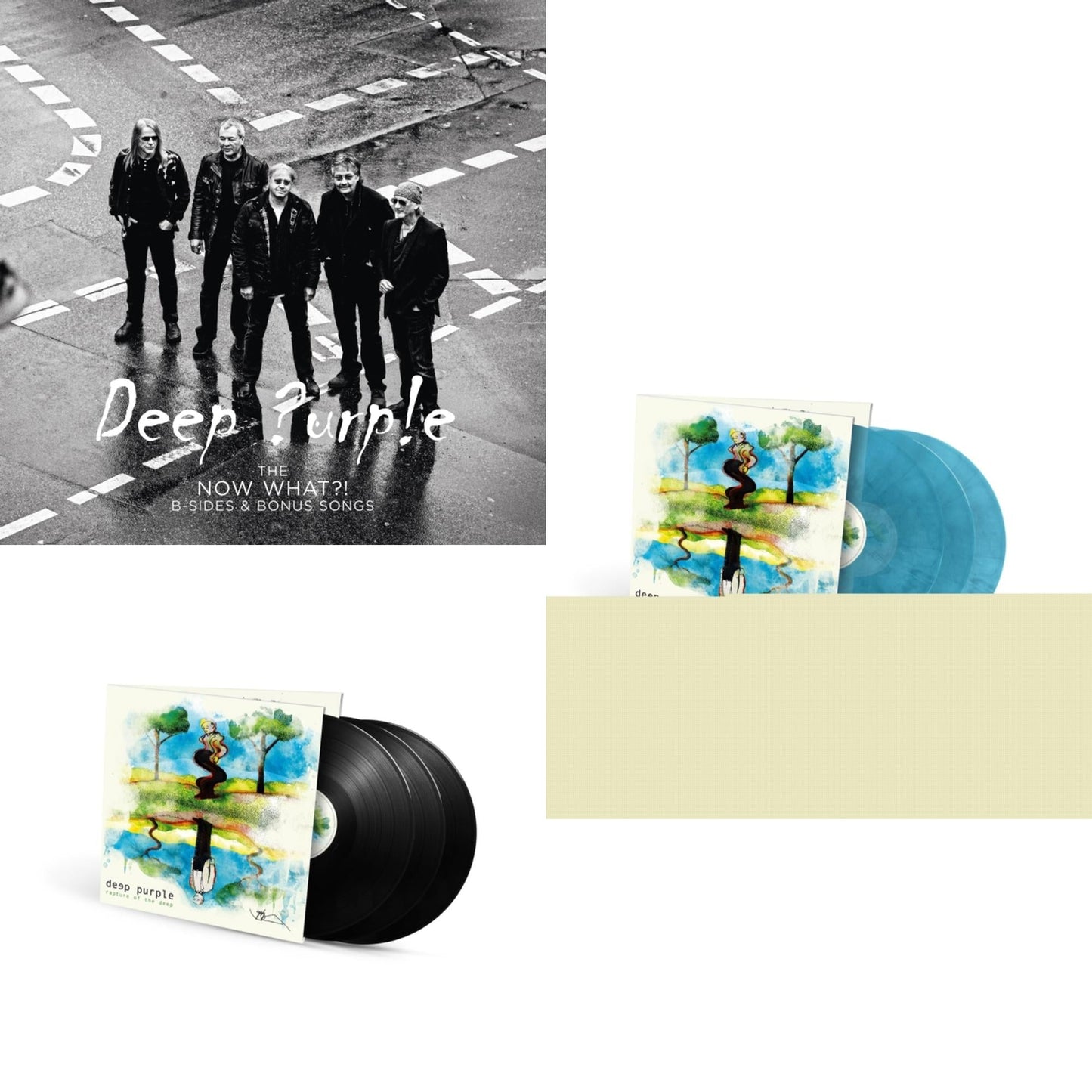 Now What?! B-Sides & Bonus Songs (Purple LP Vinyl) & Rapture Of The Deep (20Th Anniversary Remix/3LP/180G) & Rapture Of The Deep (20Th Anniversary Remix/Sky Blue Vinyl/3LP/180G)