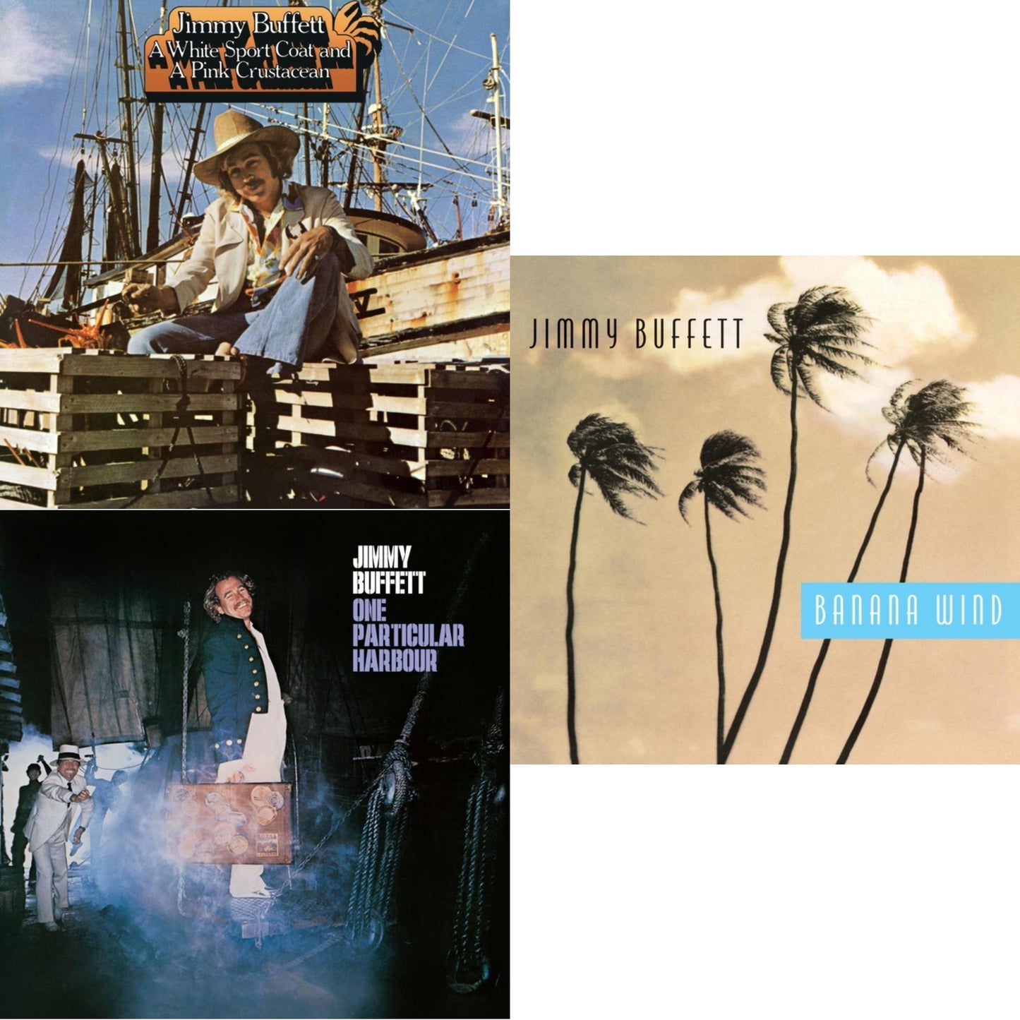 One Particular Harbour & White Sport Coat & A Pink Crustacean & Banana Wind (2LP)