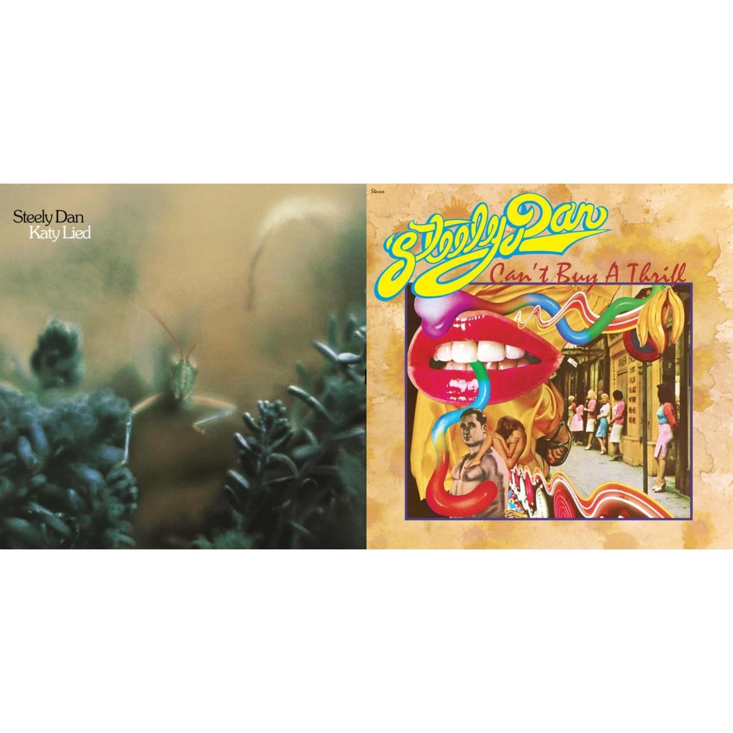 Katy Lied & Can't Buy A Thrill (180G)