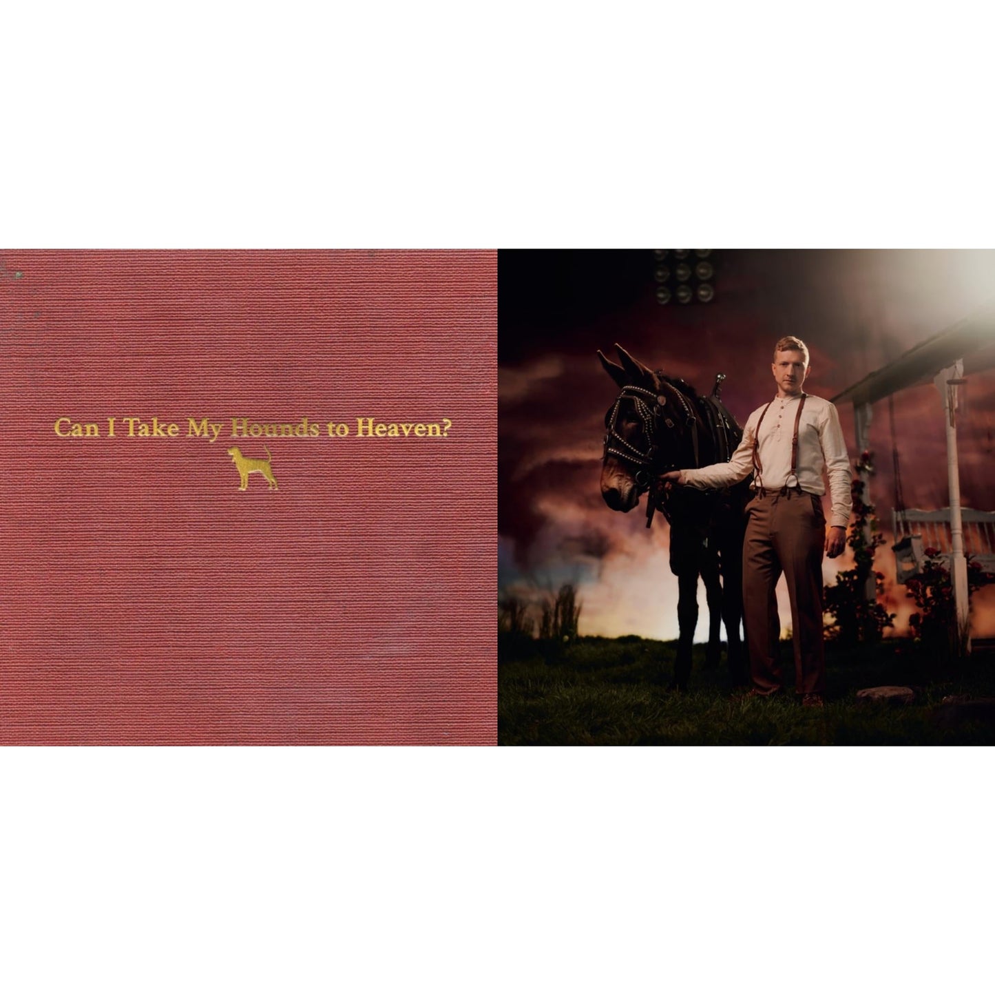 Can I Take My Hounds To Heaven? (3CD) & Rustin In The Rain