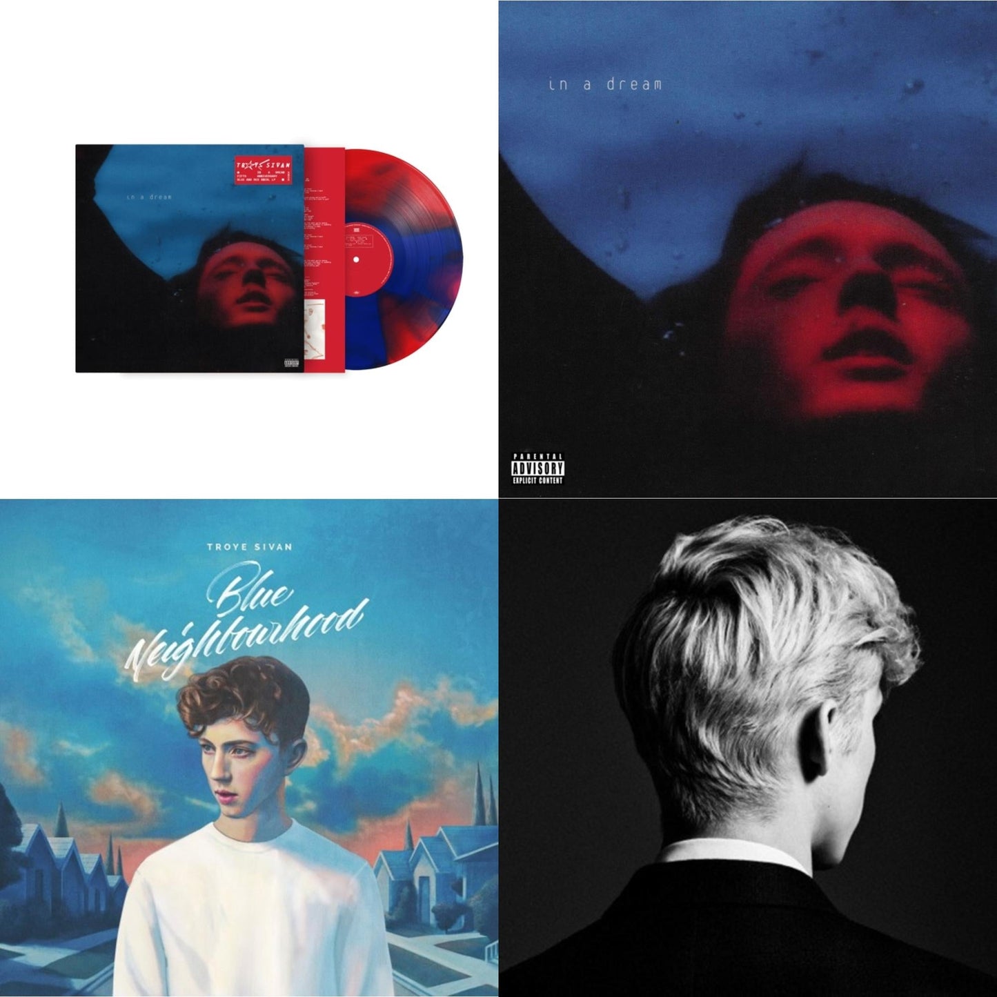 In A Dream (5 Year Anniversary) (Red/Blue Swirl LP Vinyl/Ep) & In A Dream (Ep) (Light & Dark Blue Splatter LP Vinyl/180G) & Blue Neighbourhood & Bloom
