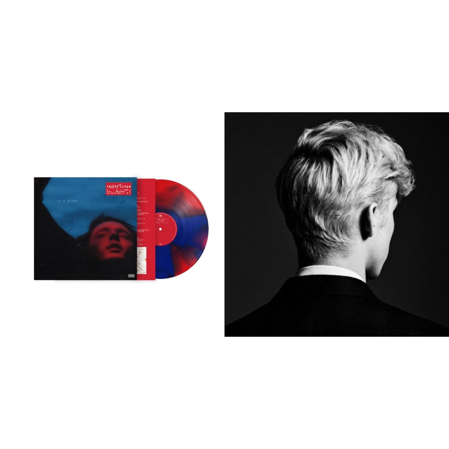 In A Dream (5 Year Anniversary) (Red/Blue Swirl LP Vinyl/Ep) & Bloom