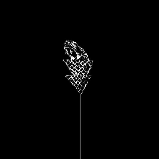 Flail (Clear LP Vinyl)