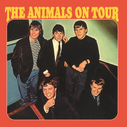 Animals & Animals On Tour & Animal Tracks & Animalization