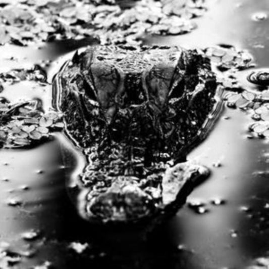 This LP Vinyl is brand new.Format: LP VinylMusic Style: NoiseThis item's title is: Emanation BodyArtist: Many BlessingsLabel: TRANSLATION LOSSBarcode: 020286230700Release Date: 5/29/2020