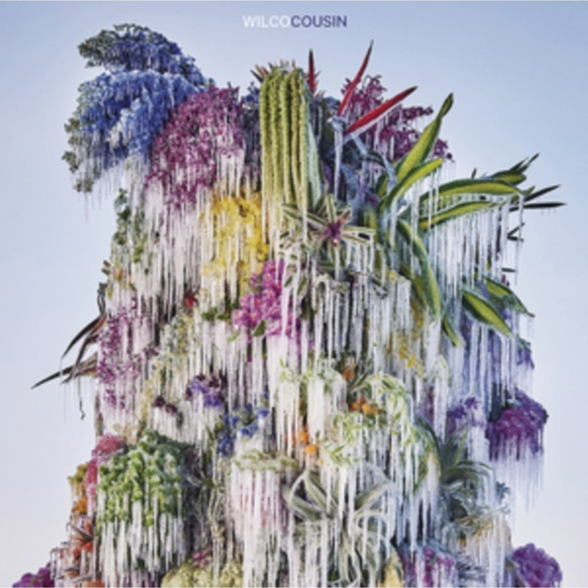 Cousin & Yankee Hotel Foxtrot (2022 Remaster/2LP)