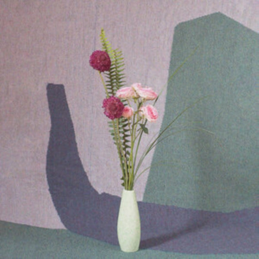 This LP Vinyl is brand new.Format: LP VinylMusic Style: AmbientThis item's title is: Ambient Ensemble (Parlor Green LP Vinyl)Artist: Nick SchofieldLabel: Backward MusicBarcode: 061297941827Release Date: 3/29/2024
