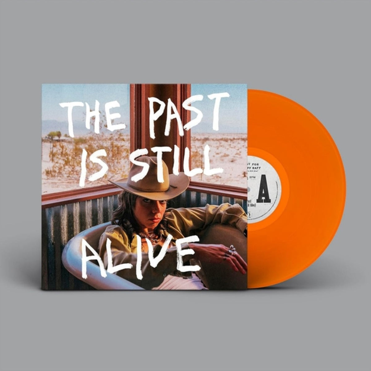 Past Is Still Alive (140G/Orange LP Vinyl) & Navigator (Frosted Blue LP Vinyl)