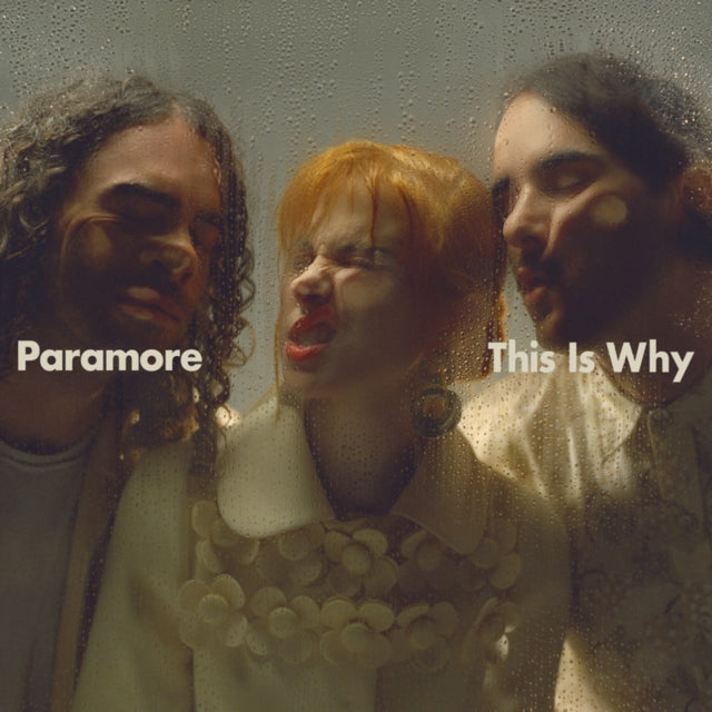 This is a 7 LP Vinyl SKU bundle.
1.This LP Vinyl is brand new.Format: LP VinylThis item's title is: Paramore (2LP)Artist: ParamoreBarcode: 075678617393Release Date: 1/5/2024
2.This LP Vinyl is brand new.