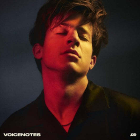 Voicenotes (Dl Code)