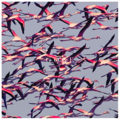 Adrenaline & Around The Fur & White Pony & Deftones & Ohms & Gore & Koi No Yokan