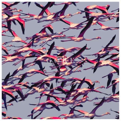 Deftones (X) (20Th Anniversary/Ruby Red LP Vinyl) & Gore (White LP Vinyl) & Covers
