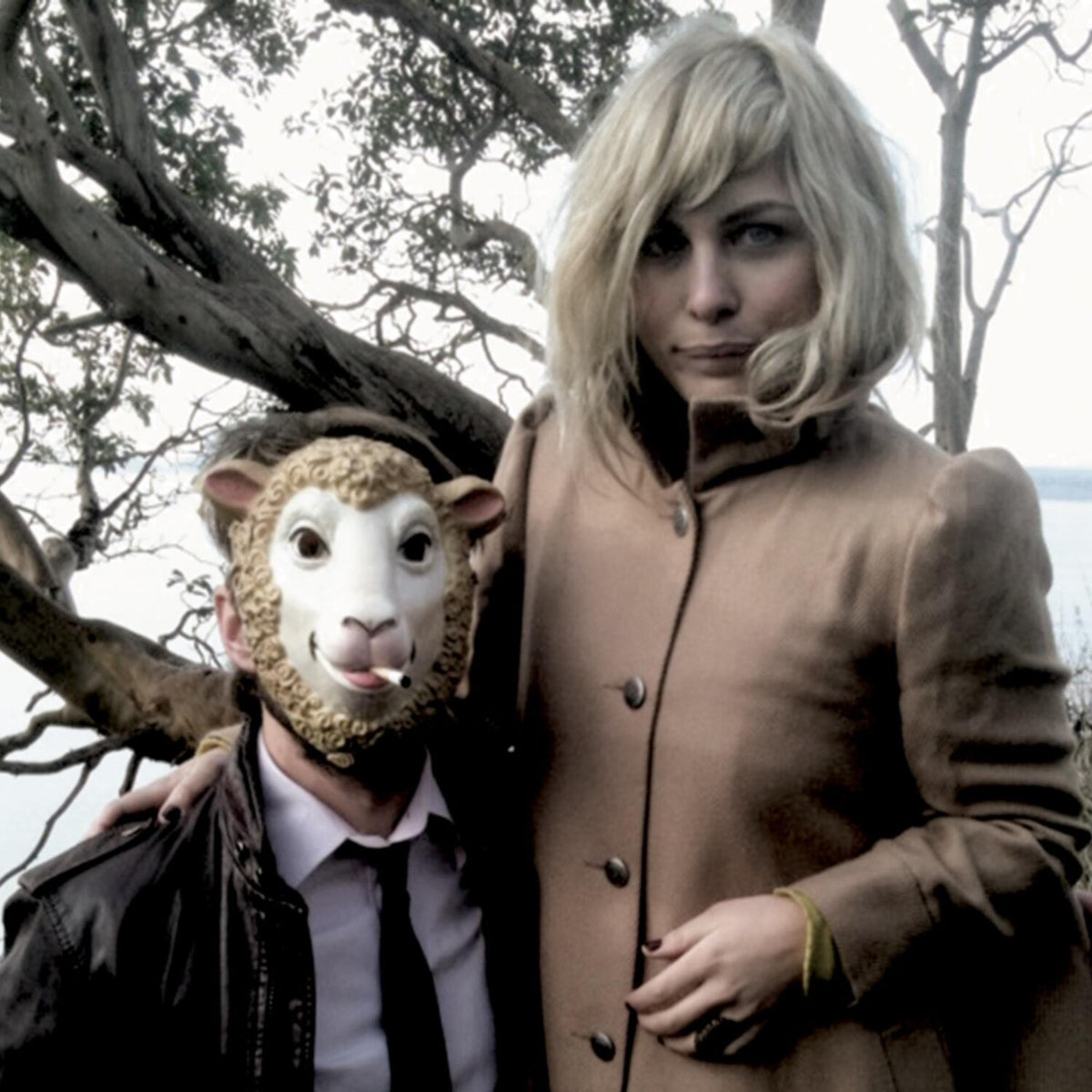 Head & The Heart & Aperture