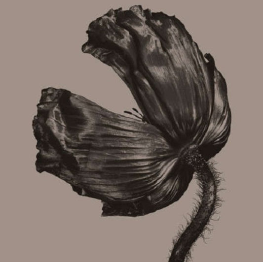 This LP Vinyl is brand new.Format: LP VinylMusic Style: Pop RockThis item's title is: Release (2017 Remastered)Artist: Pet Shop BoysLabel: RHINO/PARLOPHONEBarcode: 190295944049Release Date: 7/28/2017