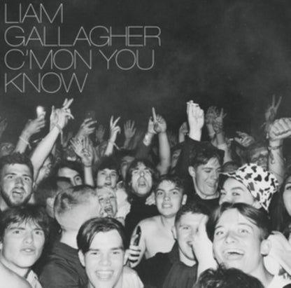 This is a 2 LP Vinyl SKU bundle.
1.This LP Vinyl is brand new.Format: LP VinylThis item's title is: Why Me? Why Not (Picutre Disc)Artist: Liam GallagherLabel: WARNER RECORDSBarcode: 190295408404Release Date: 11/29/2019
2.This LP Vinyl is brand new.