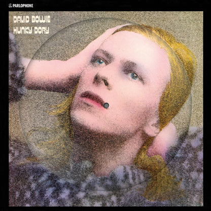 Hunky Dory (2015 Remaster/50Th Anniv/Picture Disc) & Rise & Fall Of Ziggy Stardust (2012 Remaster)