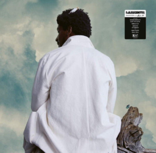 This LP Vinyl is brand new.Format: LP VinylMusic Style: Pop RockThis item's title is: Imagination & The Misfit Kid (Clear LP Vinyl)Artist: LabrinthLabel: Syco MusicBarcode: 190758727417Release Date: 2/28/2020