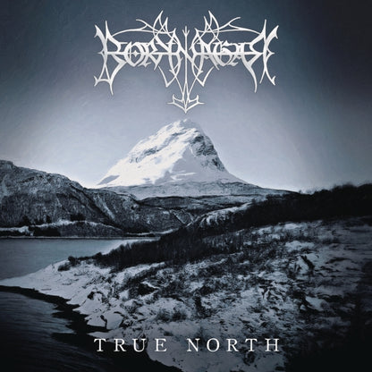 This is a 2 LP Vinyl SKU bundle.
1.This LP Vinyl is brand new.Format: LP VinylMusic Style: Black MetalThis item's title is: Borknagar (25Th Anniversary Re-Issue 2021/2LP)Artist: BorknagarLabel: CENTURY MEDIABarcode: 194399135815Release Date: 11/26/2021
2.This LP Vinyl is brand new.