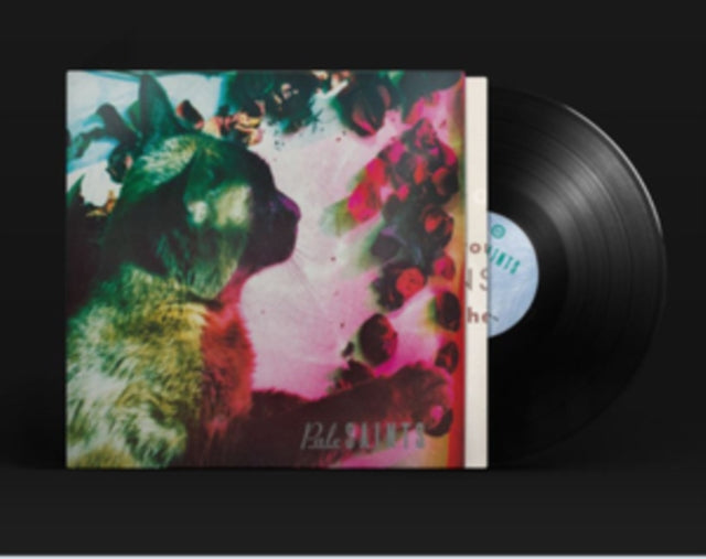 This LP Vinyl is brand new.Format: LP VinylMusic Style: Indie RockThis item's title is: Comforts Of Madness (30Th Anniversary Reissue)Artist: Pale SaintsLabel: 4ADBarcode: 191400015913Release Date: 1/17/2020
